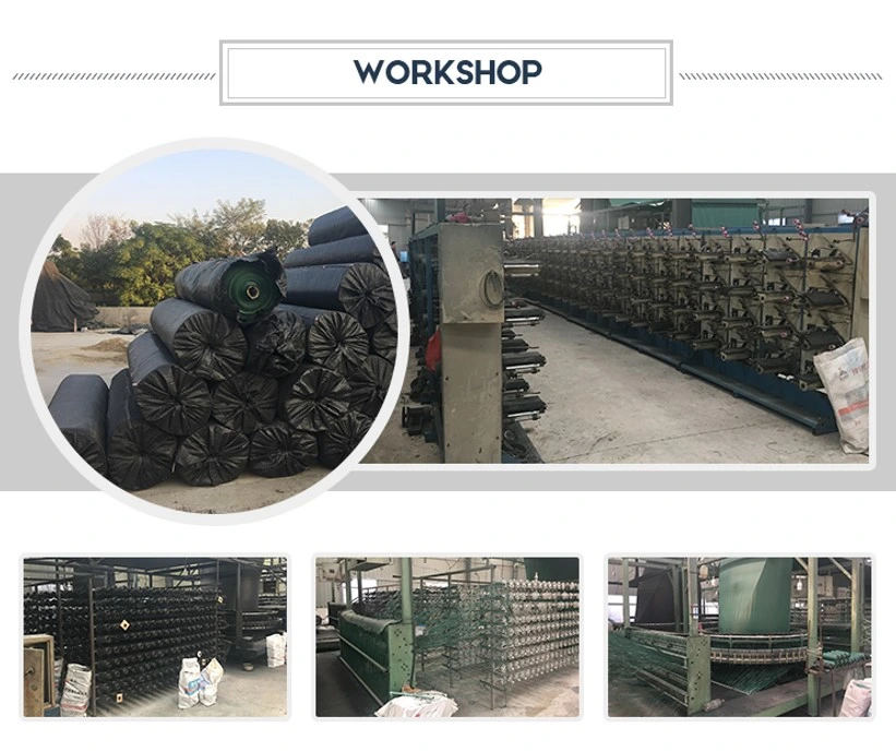 Toprak Güçlendirme Ürünü İçin Stabilizasyon PP Geotekstil Geogrid Dokuma Kumaş 4