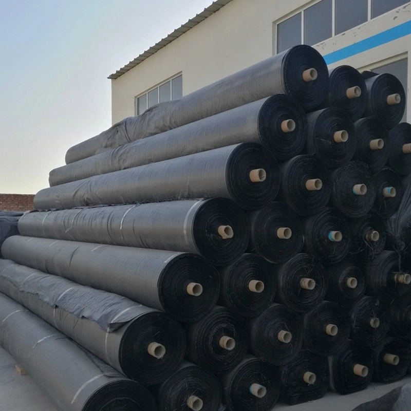 Toprak Güçlendirme Ürünü İçin Stabilizasyon PP Geotekstil Geogrid Dokuma Kumaş 5