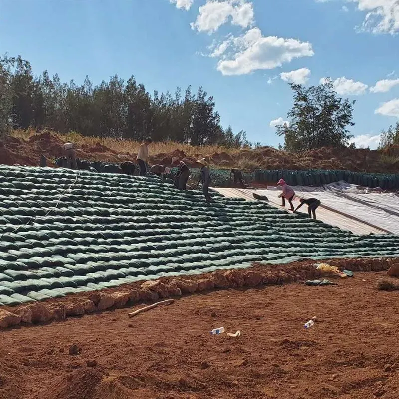 PP PET Geotextile Geobag Sel kontrolü Atık su arıtma Geotextile Bag 2
