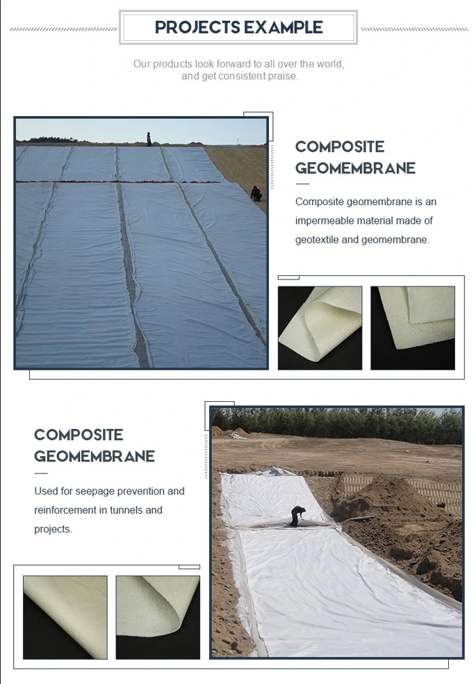 Yüksek Güçlü Su geçirmez Anti-Seepage Kompozit Geotextile Geomembran 2