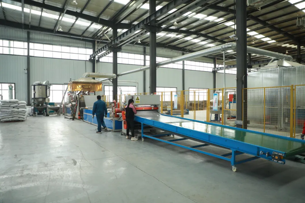 HDPE çakıl ızgara malzeme sistemi yol için dokulu geocell yol güçlendirme için çim ağ döşeme 14