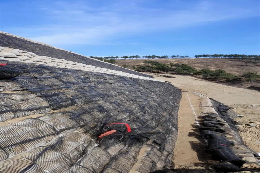 Geo Şebeke Yer Şebekesi Plastik Tek Eksenli Poliester Geogrid Tek Eksenli Çakıl Şebekesi Arabayı Bodrum için Yer 0