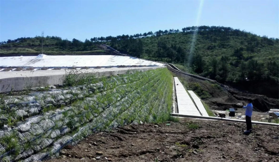 Geo Şebeke Yer Şebekesi Plastik Tek Eksenli Poliester Geogrid Tek Eksenli Çakıl Şebekesi Arabayı Bodrum için Yer 13