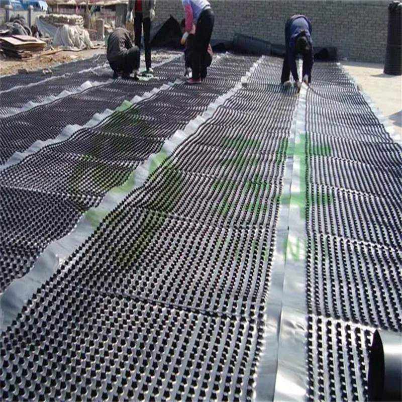 PVC delikli delikli drenaj drenaj tahtası Temel iş Su çözümü Su çözümü 15