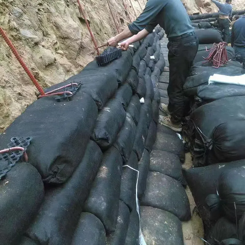 Dokunulmamış Geobag Polyester / PP Geobag Eklolojik Çevreyi Korumak İçin Eğim Koruma ve Çim Barajı 12