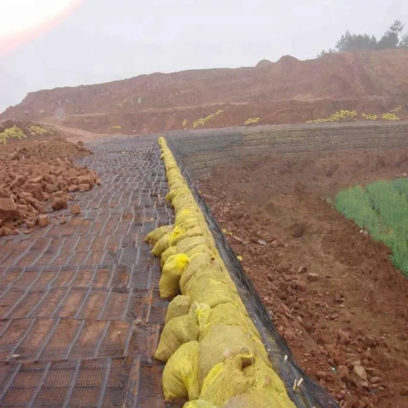 Plastik Polipropilen PE Tek yönlü Tek eksenli Çekici Plastik Geogrid Yol Yolu Güçlendirme için 5