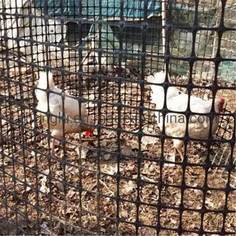Temel Setler ve Toprak Şev Duvarları Takviyesi İçin Yüksek Mukavemetli Polyester Geogrid