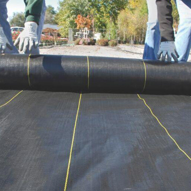 Toprak Güçlendirme Ürünü İçin Stabilizasyon PP Geotekstil Geogrid Dokuma Kumaş