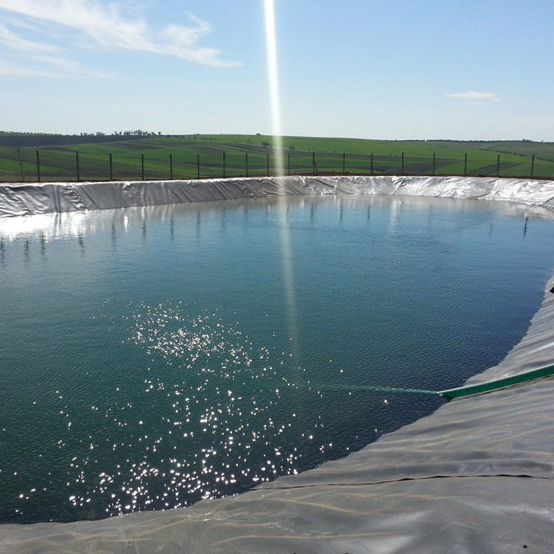 Su geçirmez HDPE Geomembrane Havuz Liner Su Tankları için Balık Karides Çiftliği 0.2 - 2.5mm