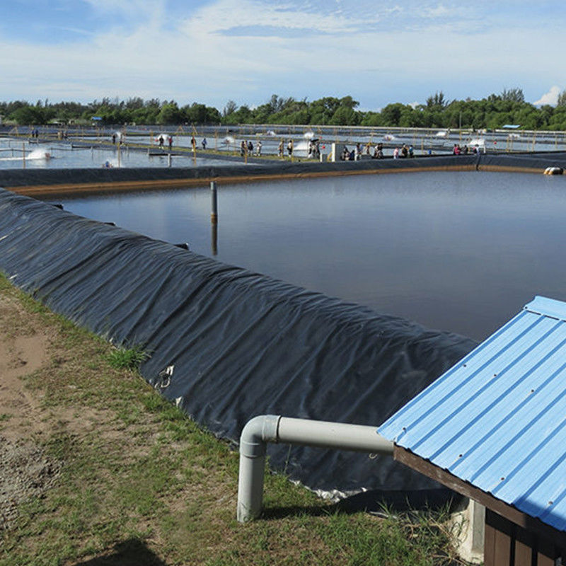 Su geçirmez HDPE Geomembrane Havuz Liner Su Tankları için Balık Karides Çiftliği 0.2 - 2.5mm
