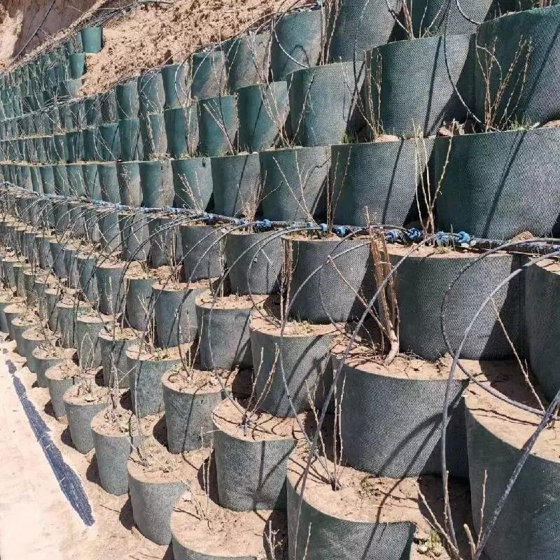 Yol inşaatında kullanılan korozyona dayanıklı HDPE Plastik Geocell Yer Ağı