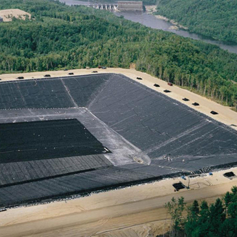 0.3mm/0.5mm/0.75mm/1mm/1.5mm/2mm Siyah Membranlı Plastik Yaprak HDPE LDPE LLDPE Karides Balığı F için Virgin Geomembran Liner