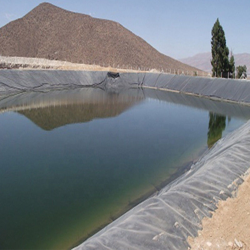 0.3mm/0.5mm/0.75mm/1mm/1.5mm/2mm Siyah Membranlı Plastik Yaprak HDPE LDPE LLDPE Karides Balığı F için Virgin Geomembran Liner