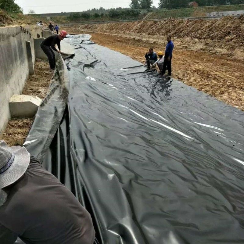 0.5mm 1mm 1.5mm Plastik Su geçirmez Akvakültür Geomembran Hdpe Liner Balıkçılık Çiftliği Toptan Satış Geomembran Havuz Liner