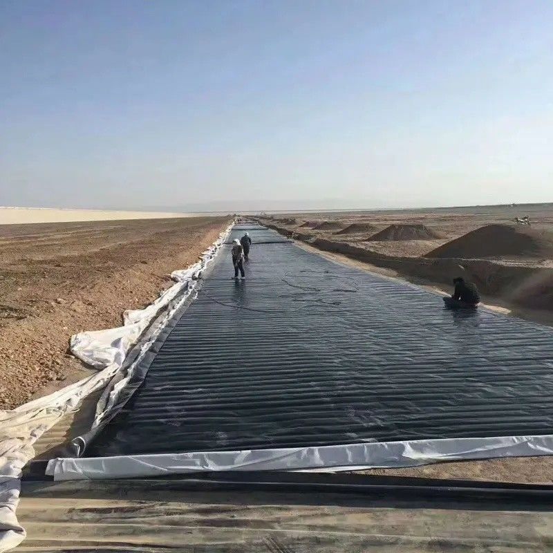 0.5mm 1mm 1.5mm Plastik Su geçirmez Akvakültür Geomembran Hdpe Liner Balıkçılık Çiftliği Toptan Satış Geomembran Havuz Liner