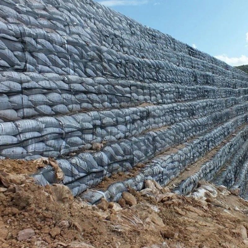 Geo Şebeke Yer Şebekesi Plastik Tek Eksenli Poliester Geogrid Tek Eksenli Çakıl Şebekesi Arabayı Bodrum için Yer