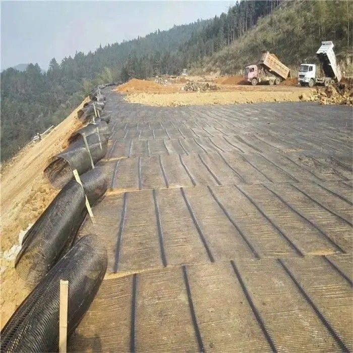 Geo Şebeke Yer Şebekesi Plastik Tek Eksenli Poliester Geogrid Tek Eksenli Çakıl Şebekesi Arabayı Bodrum için Yer