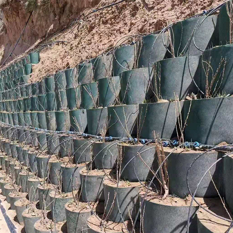 Tekstürlü Yüksek Hücresel Kilitleme Sistemi Bal çekirdeği HDPE Geocell Yol için Temel Eğim Koruması Park Alanı Araç Yolu Destek Duvarı