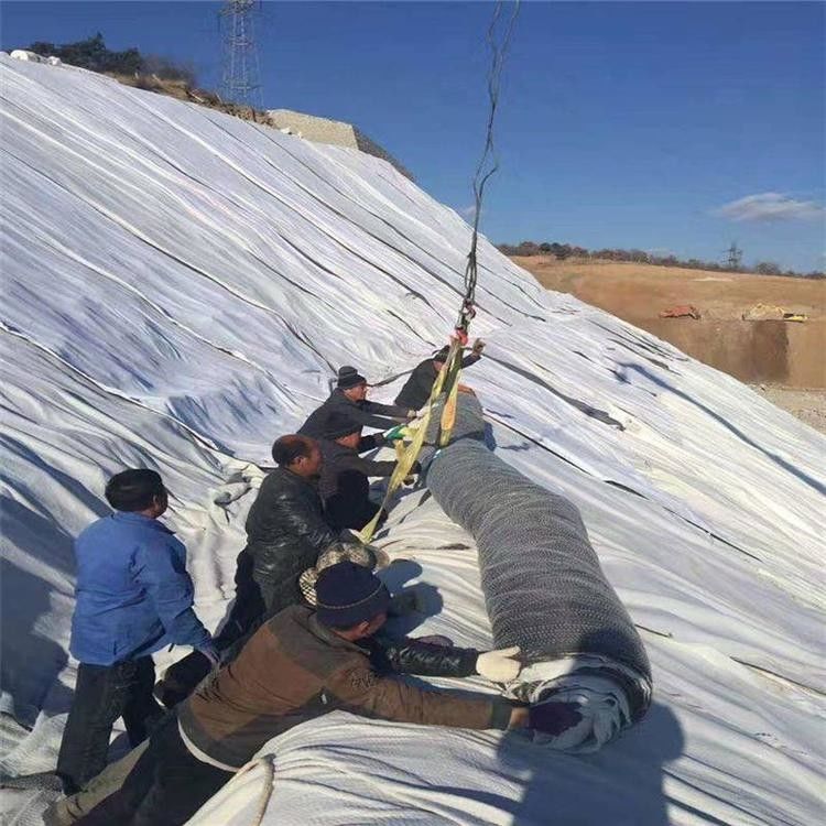 Havuz Anti-Seepage Geosynthetic GCL Clay Liner Mat Gcl Bentonite Depolama için Geosynthetic
