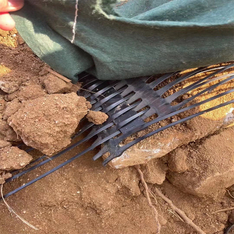 PP Plastik PE Toprak Güçlendirme için Tek Yönlü Tek Eksenli Poliester Geogrid Gravel Grid Yer Düzelticisi