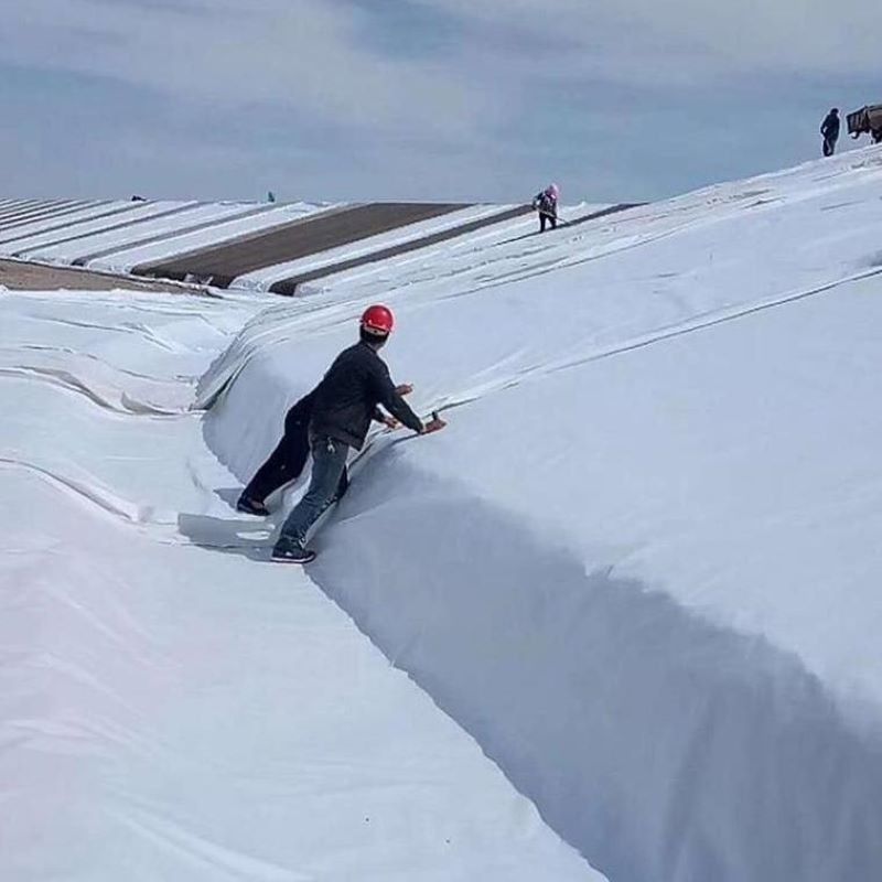 Beyaz Siyah Dokunulmamış İğneli Perforasyonlu Jeotekstil PET PP Yol Otoban Demiryolu için