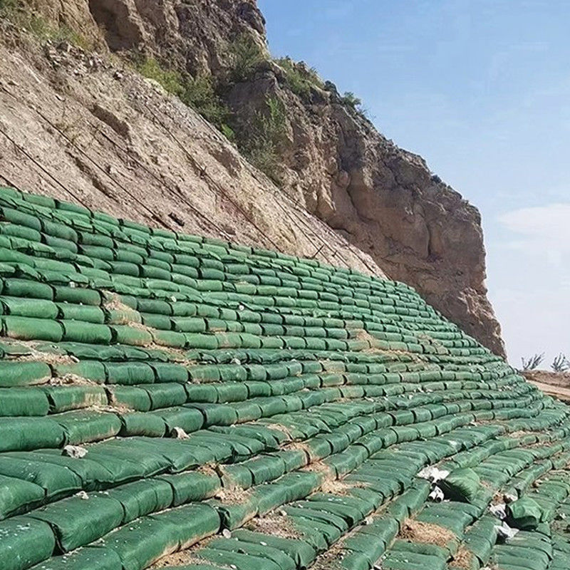Kıyı Koruma, Çalı Düzleştirme ve Erozyon Kontrolü İçin Mühendislik Derecesi Dokunulmamış PP/PET İğneli Geotextile Geobag