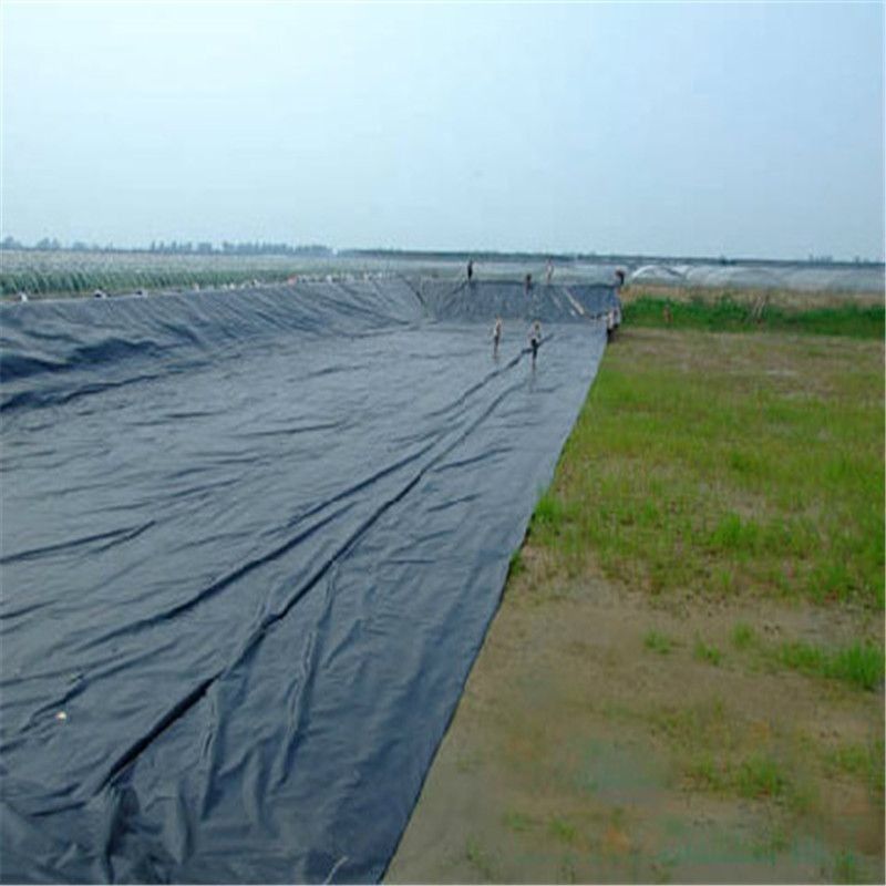 HDPE High Definition Polyethylene Liner Balık ve Karides Çiftliği Havuzları için Endüstriyel Tasarım Tarzı Balk Su geçirmez