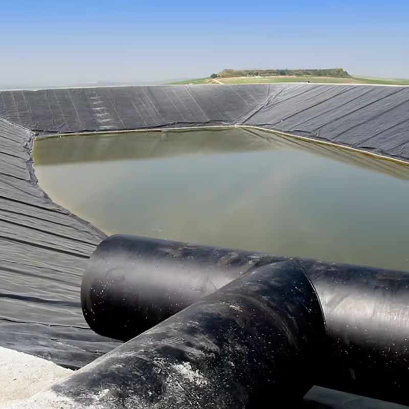 Özel HDPE LDPE LLDPE PVC Geomembranlar Balık ve Karides Havuzu için Havuz Liner & Güçlendirilmiş Polietilen Havuz Liner
