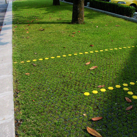 Otopark için plastik çim ızgarası yangın çıkışı HDPE döşeme yerleri manzara için ızgarası toprak geocell çakıl bahçe ızgarası