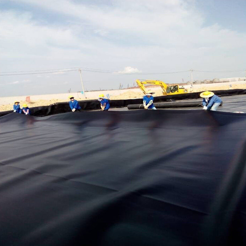 Geomembran Havuz Liner 0.5mm 1mm 1.5mm 2mm HDPE LDPE Lldpe PVC EVA Geomembran Havuz Liner