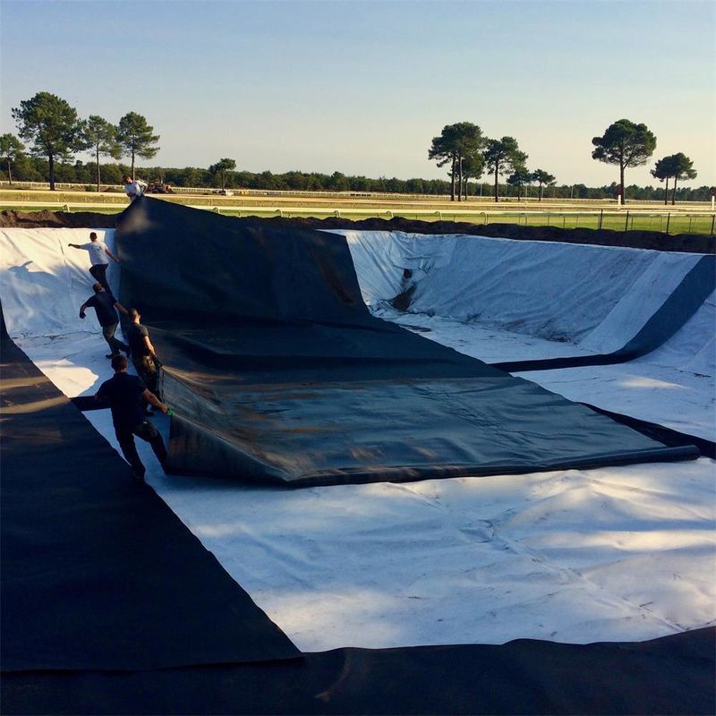 Endüstriyel Stil 1mm Geomembran Havuz Liner HDPE Plastik Liner Balık Havuzları İçin Geomembran Havuz Liner PVC LDPE LLDPE Çöplük için PP Malzemeler