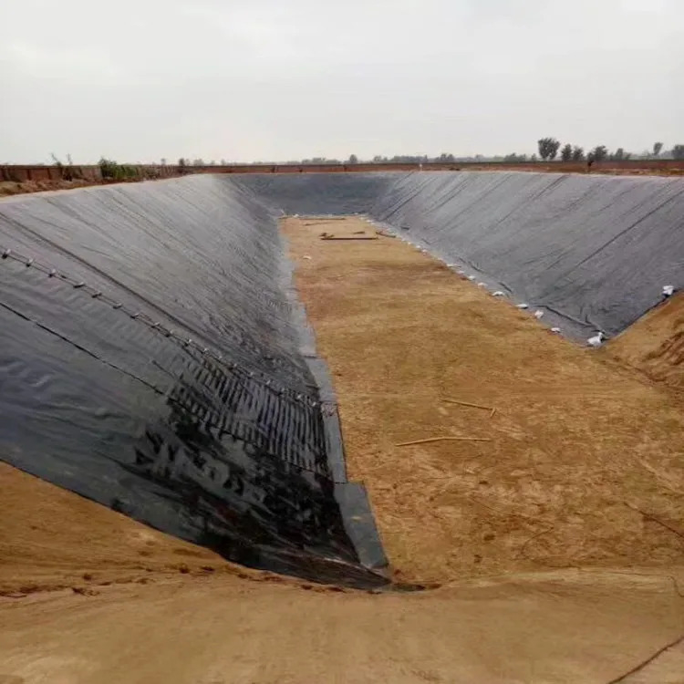 Su Ürünleri Yetiştiriciliği, Balık Çiftliği, Gölet, Baraj, Havuz ve Su Tutma Uygulamaları için HDPE Jeozar