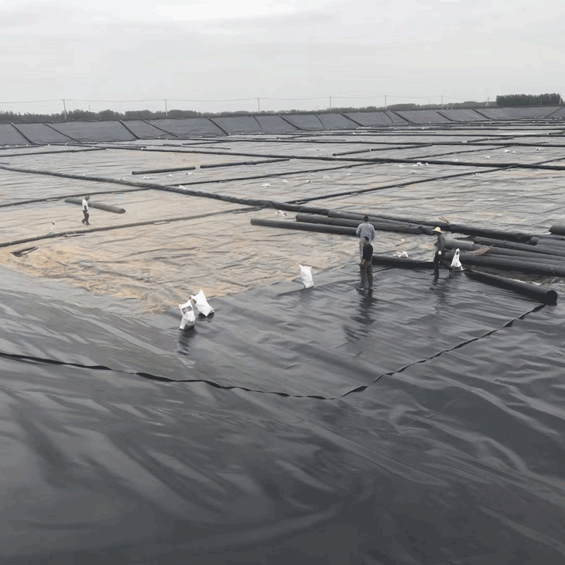 Anti-Seepage Plastic Film Geomembrane with HDPE for Pool Lake River Agriculture Dam Landfill