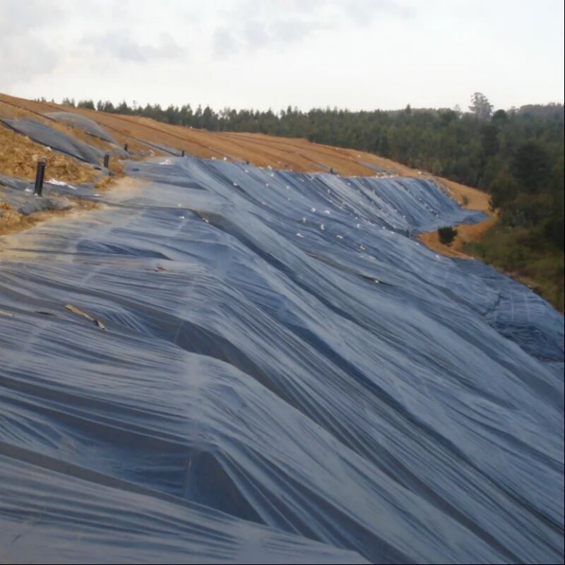 Su geçirmez Yumuşak yüzey Tarımsal Havuz Döşeme Balık Karides Tarım Yapay göl Depolama HDPE Geomembran